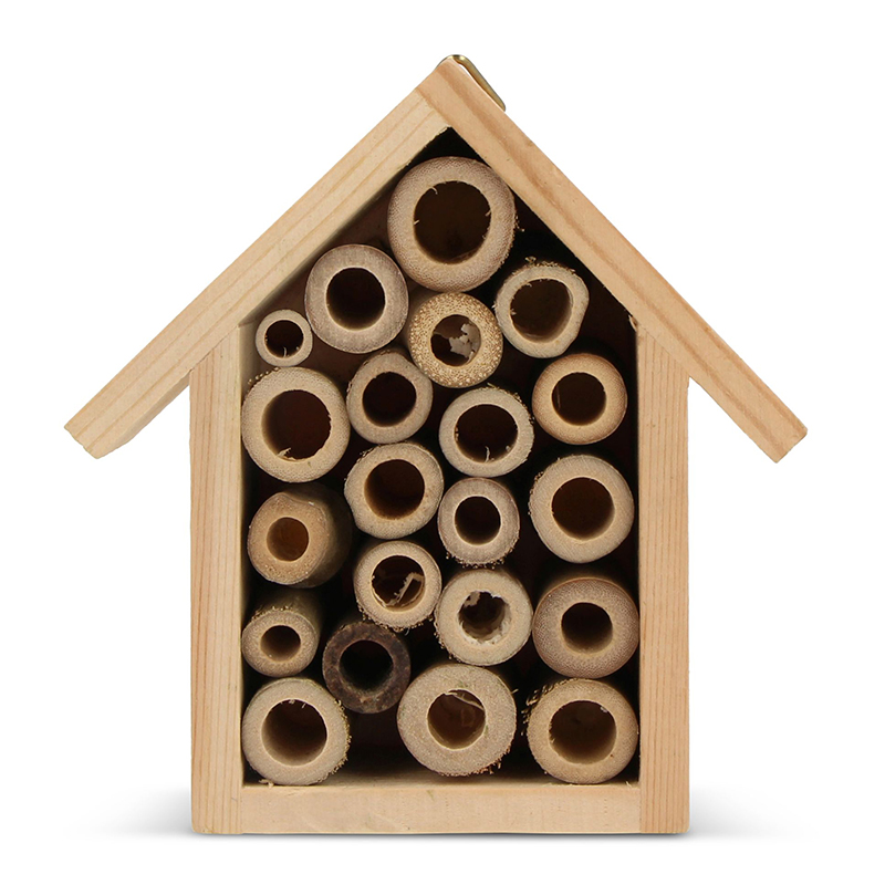 Petite maison pour abeilles - image 5